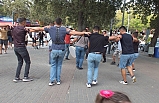 Burhaniye'de düğün konvoyunda halay çektiler