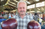 Burhaniyeli çiftçi kiloluk patlıcanlar yetiştirdi