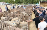 Dursunbey'li üreticiye damızlık
