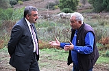 Balya'da siyanür kabusu