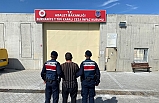 Edremit'te jandarma zeytin bahçelerinde göz açtırmıyor