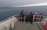 Ayvalık’ta 91 göçmen yakalandı