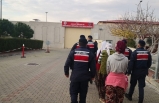 Zeytin Çalarken Jandarmaya Yakalandılar
