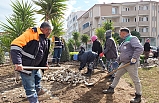 Burhaniye’de Belediye ekipleri bahar mesaisine başladı