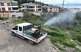 Edremit Belediyesi, uçkunla mücadelede seferberlik başlattı