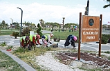 Park Ve Bahçeler Ekipleri Çalışmalarını Sürdürüyor