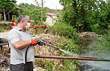 Altıeylül Belediyesi’nden Sivrisinek Ve Haşerelere Karşı İlaçlama