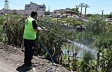 Büyükşehir, haşereyle mücadeleyi sürdürüyor
