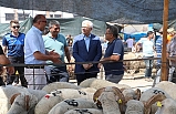 Burhaniye Kurban Bayramına hazır