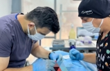 Tedavisi tamamlanan can dost doğal ortamına salındı