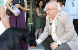 Edremit Belediye Başkanı Mehmet Ertaş sokak köpeğini sahiplendi