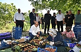 Vali Ustaoğlu, Havran'da incir topladı