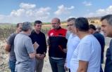 Altıeylül'de ayçiçeği hasadı sürüyor
