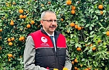 Havran'da Kaymakam Özderin, mandalina hasadı yaptı
