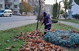 Karesi’de hummalı kış sezonu çalışmaları yoğunlaştı