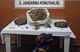 Balıkesir Manyas’ta uyuşturucu operasyonu: 2 kilogram esrar ele geçirildi