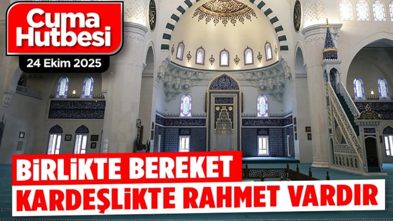 Otomatik Taslak