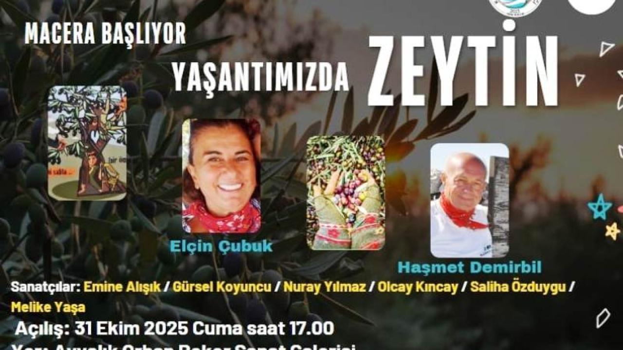 Ayvalık'ta Zeytin Hikayesi