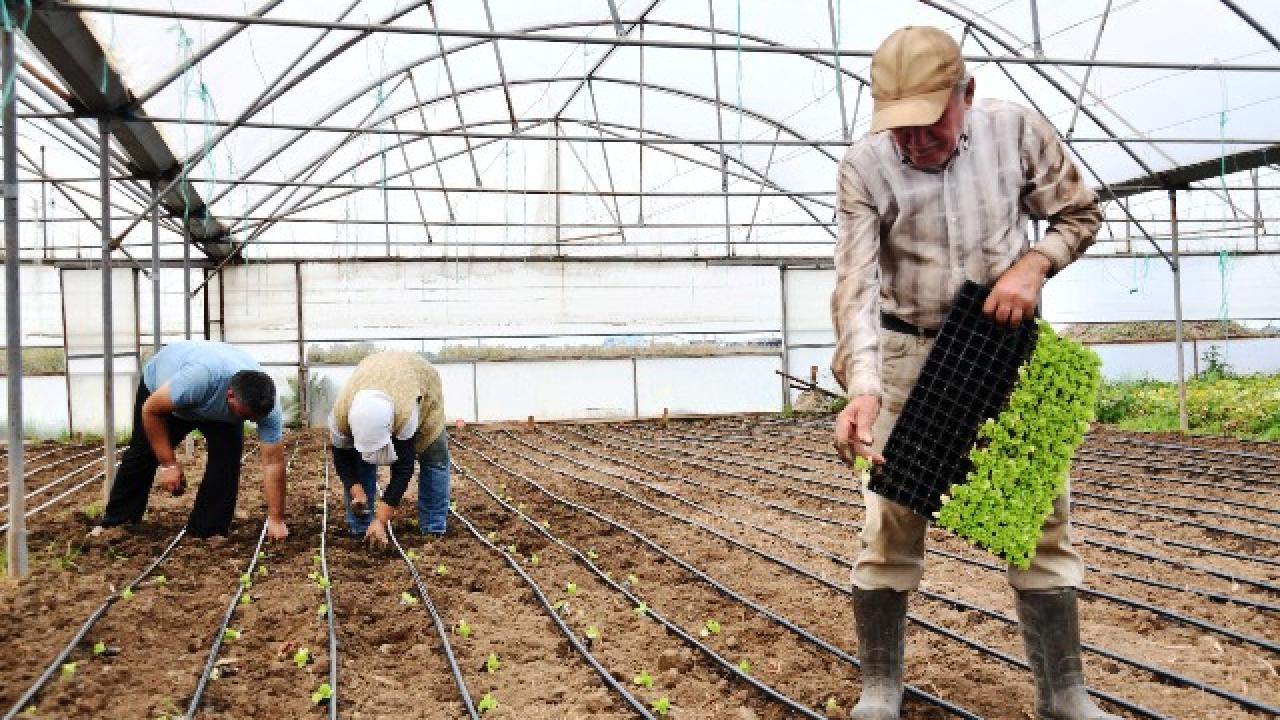 Büyükşehir desteğiyle topraklar bereketlendi