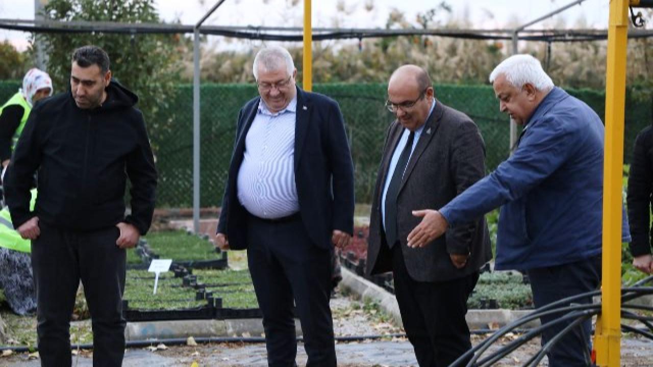 Otomatik Taslak