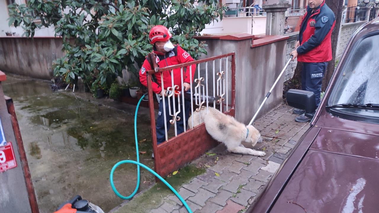 Otomatik Taslak