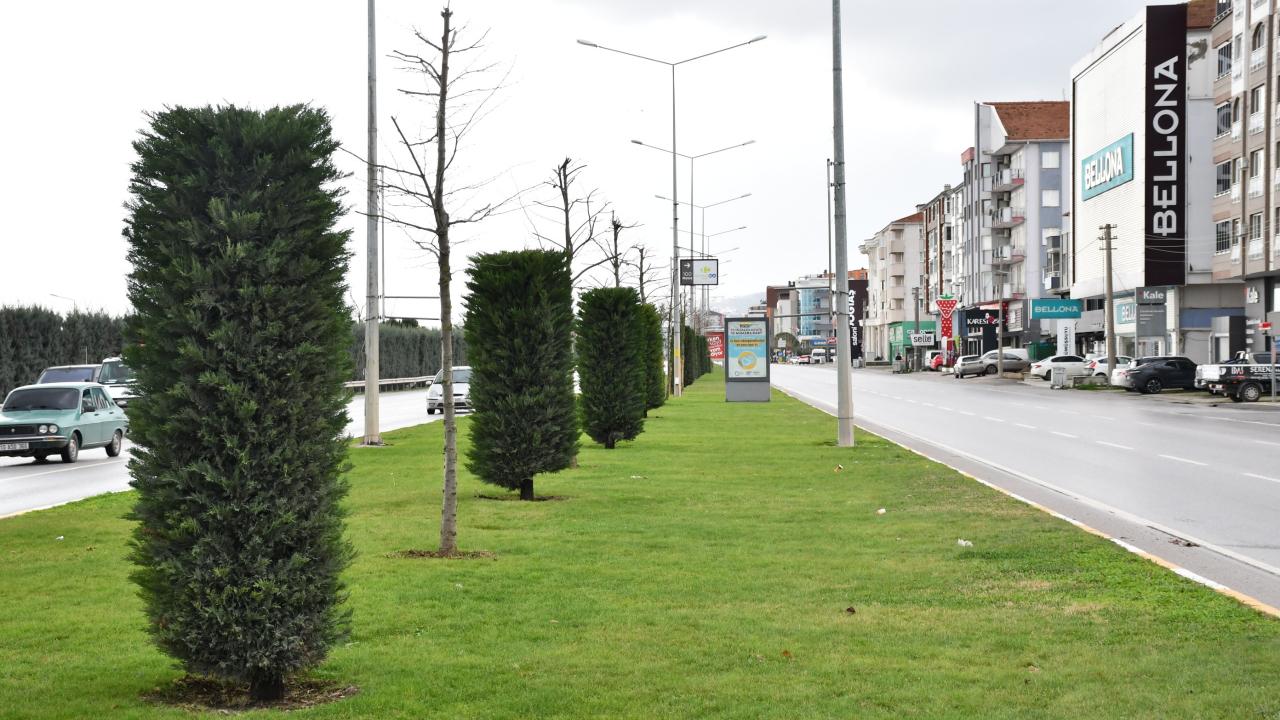 Büyükşehirden 20 ilçeye çiçek gibi hizmet