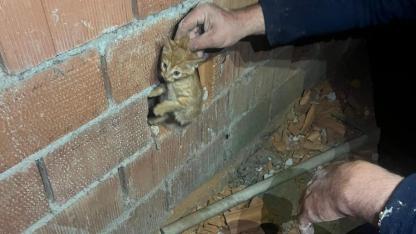 İki Duvar Arasında Sıkışan Yavru Kediyi İtfaiye Kurtardı