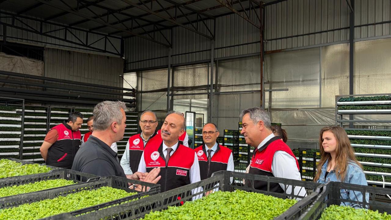 Kaliteli fide, güçlü tarım