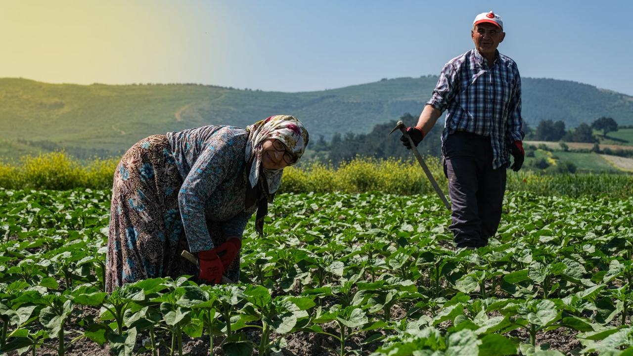 Altıeylül'de Kırsal Ulaşım Ağı Güçleniyor