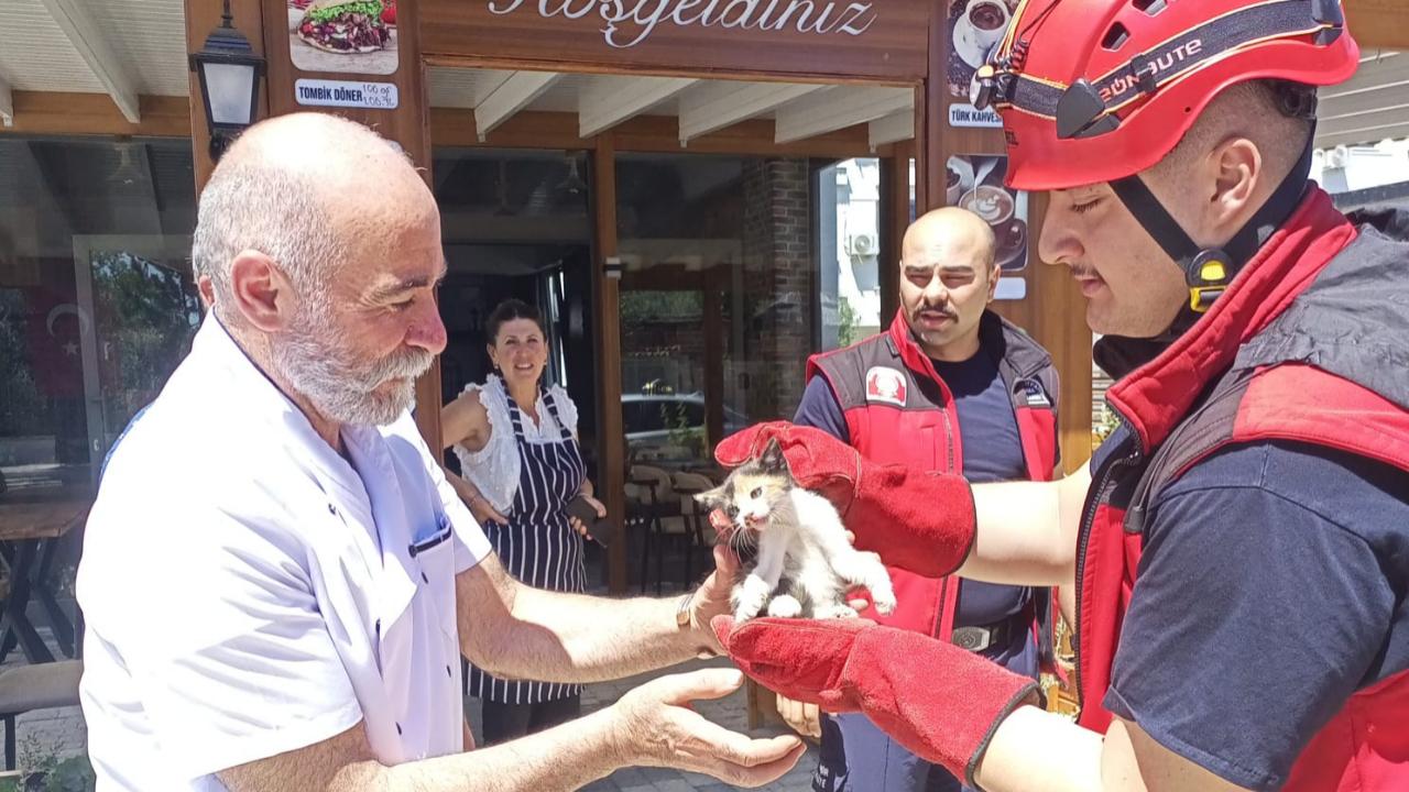 Araçta davetsiz misafir kurtarıldı.