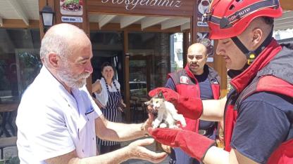 Araçta davetsiz misafir kurtarıldı.
