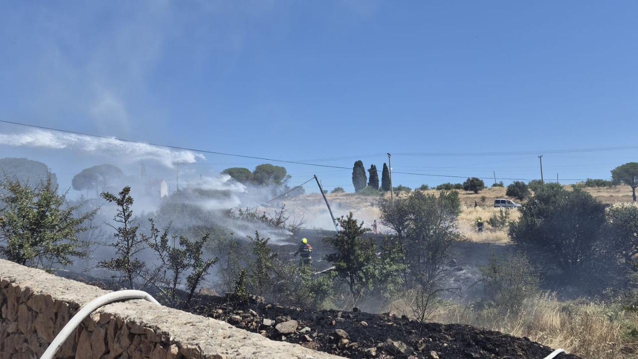 Ayvalık’ta Ot ve Makilik Alanda Yangın Paniği