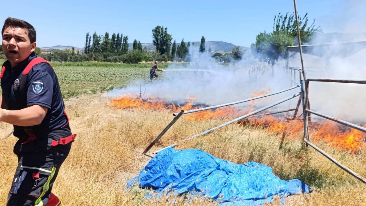 Ayvalık'ta Ot Yangınına Amansız Mücadele