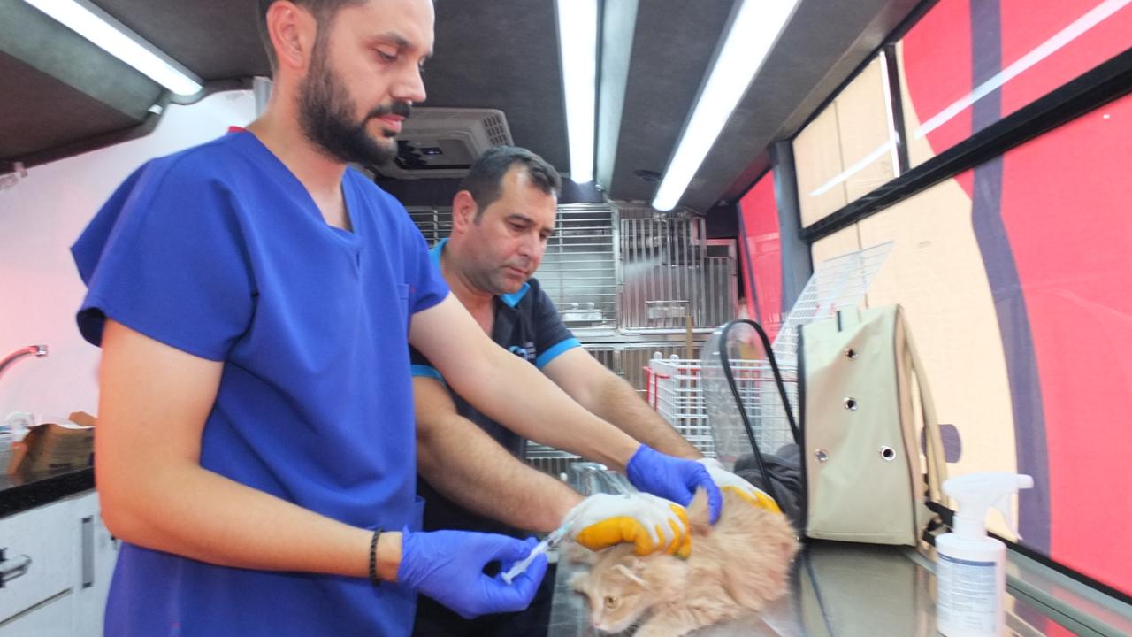 Balıkesir de Can Dost 18 bin sokak hayvanına sağlık hizmeti verdi