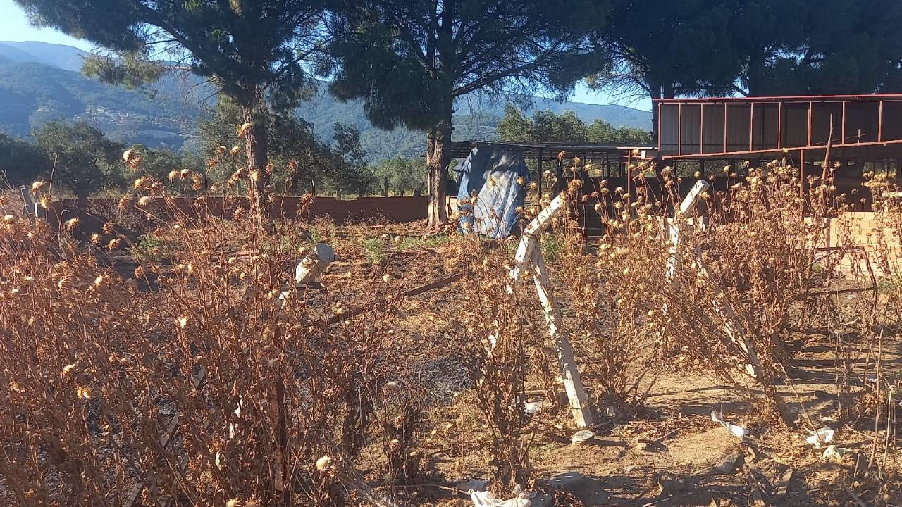 Balıkesir'de Gün Boyu Peş Peşe Yangınlar: Ekipler Seferber Oldu