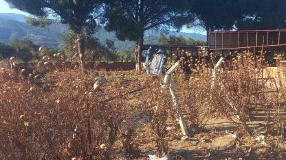 Balıkesir'de Gün Boyu Peş Peşe Yangınlar: Ekipler Seferber Oldu