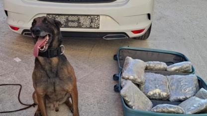 Balıkesir'de rekor uyuşturucu operasyonu: 235 bin hap ele geçirildi