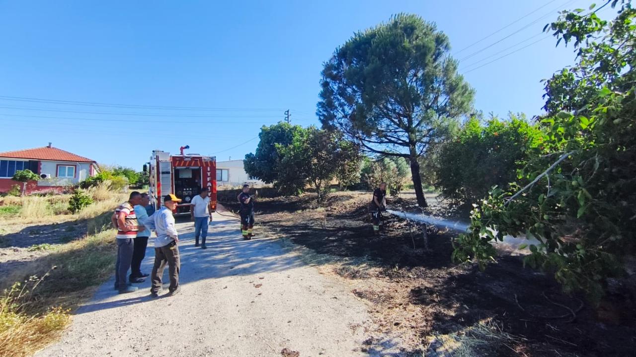 Balıkesir'in üç ilçesinde yangın alarmı