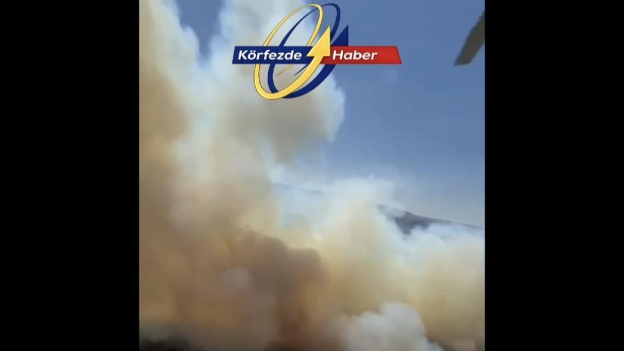 Bigadiç'te Orman Yangınına Havadan ve Karadan Müdahale