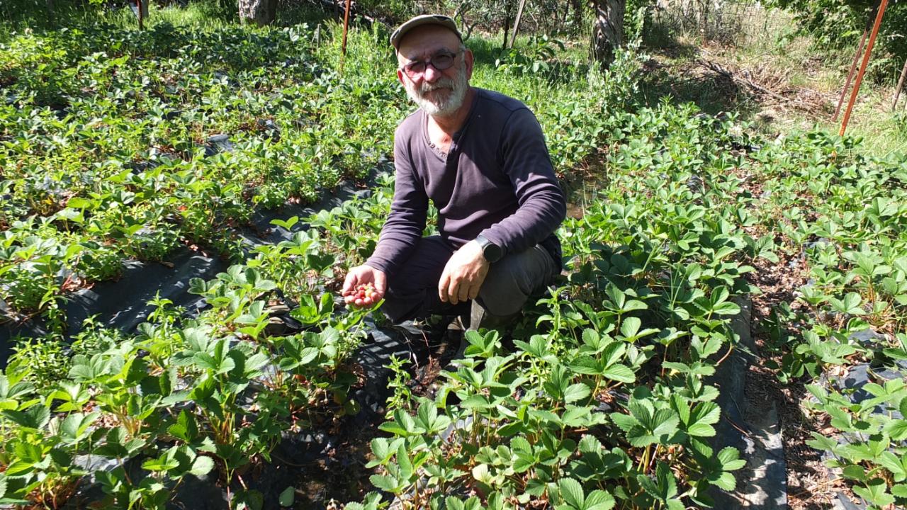Burhaniye’de emekli muhasebeci örnek üretici oldu