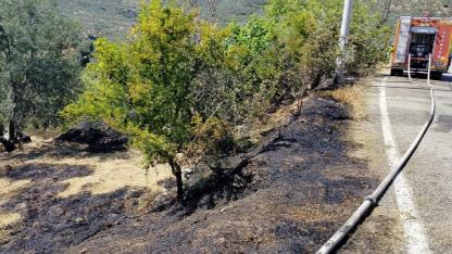 Edremit'te Zeytinlik Alanda Yangın