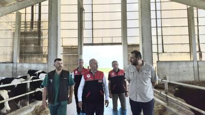 Hastalıktan Ari Büyükbaş İşletmesinde İnceleme