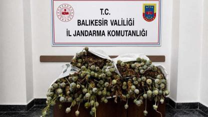 Balıkesir Polis & Jandarma 24 saat 30.06.2026
