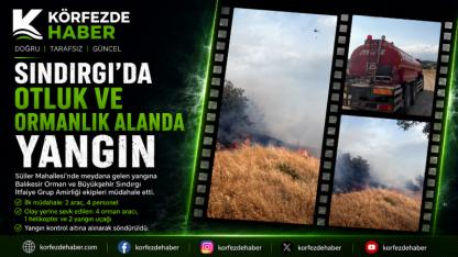 Sındırgı'da Otluk ve Ormanlık Alanda Yangın