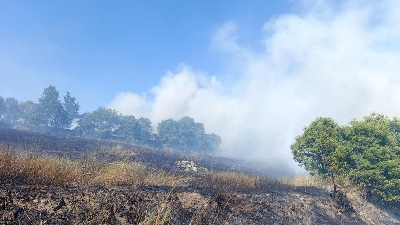 Sındırgı'da Otluk ve Ormanlık Alanda Yangın