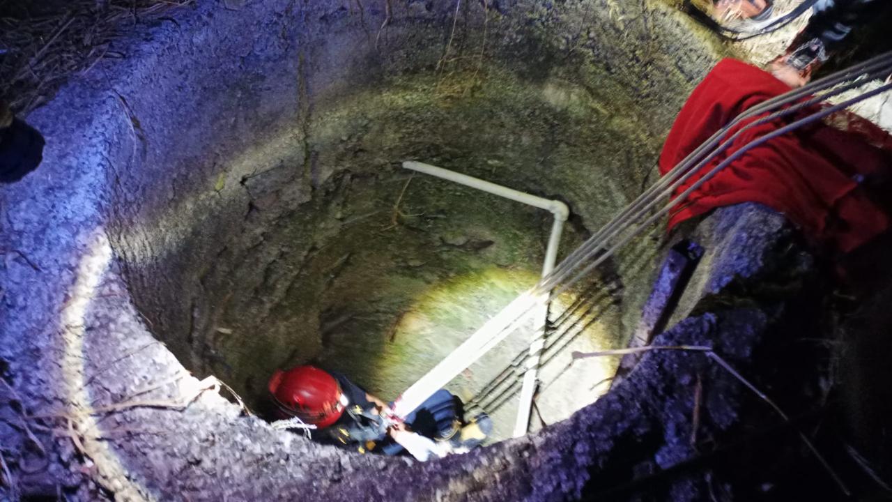 Altıeylül'de kuyuya düşen yavru kedi kurtarıldı