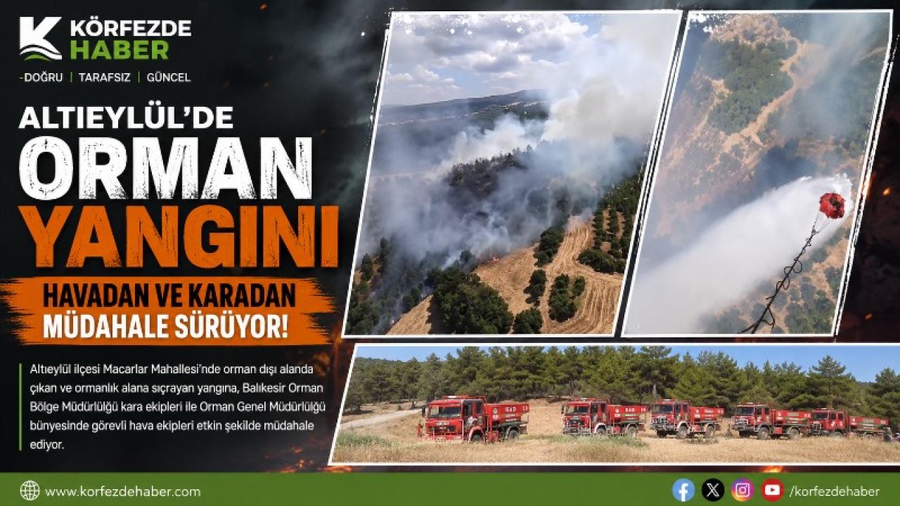 Altıeylül’de Orman Yangını