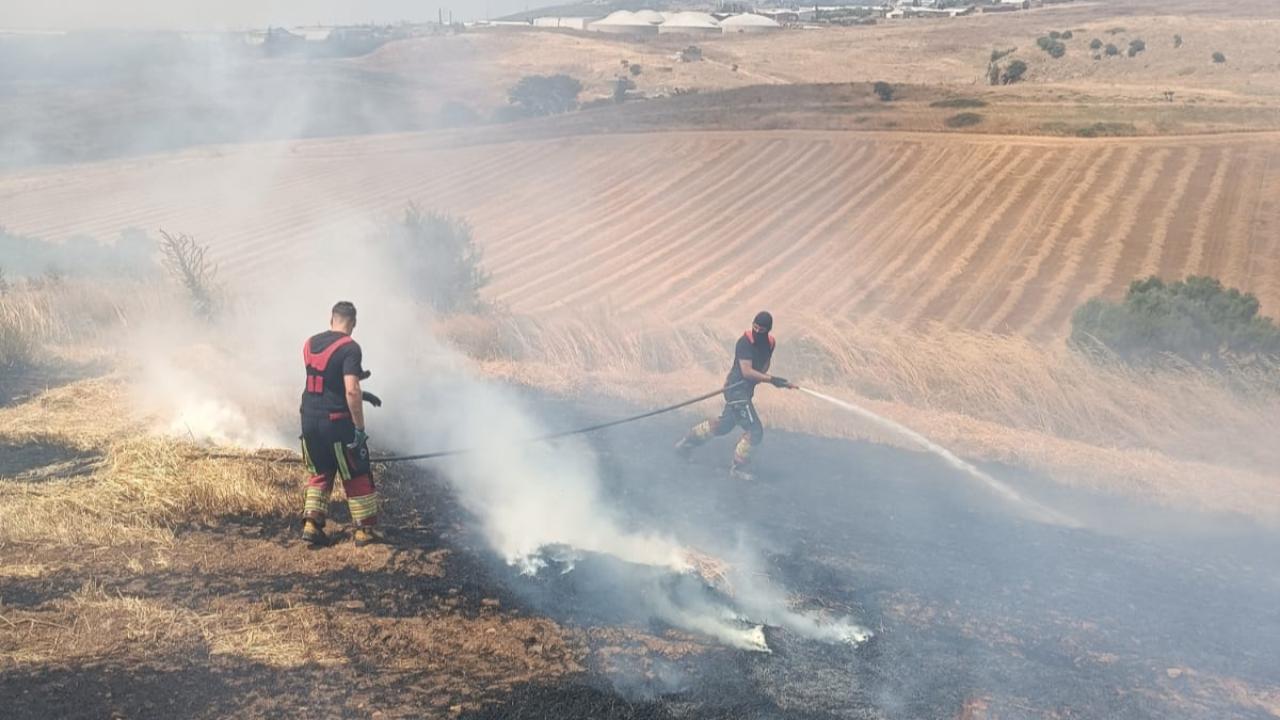 Bandırma'da arazi yangını korkuttu