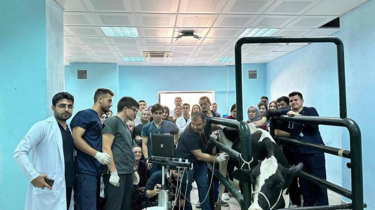 BAÜN Veteriner Fakültesi ve Hayvan Hastanesi bölgenin şifa merkezi oldu: 15 ilden her türlü canlıya tedavi