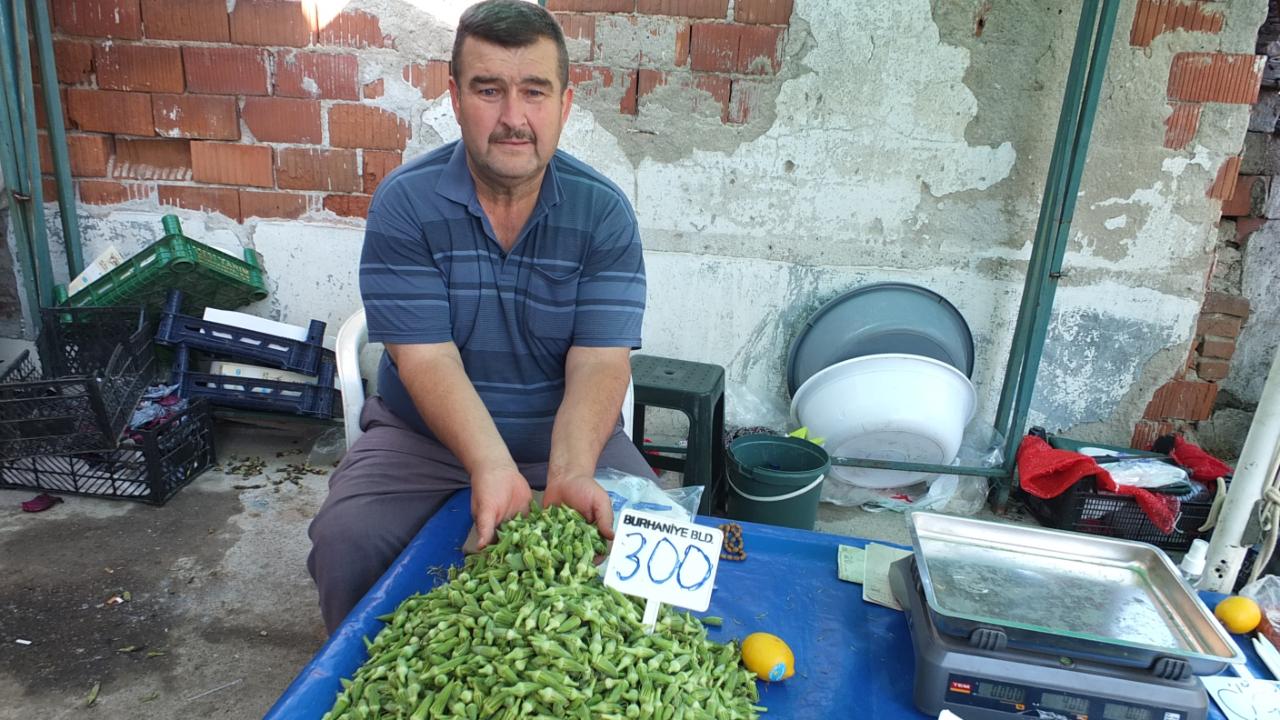 Burhaniye’de bamya üreticisine kazandırdı
